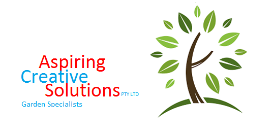 Aspiring Creative Solutions